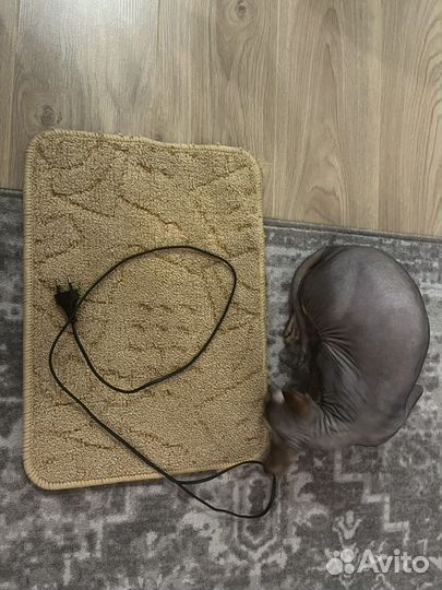Коврик с подогревом для животных