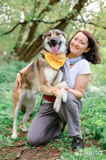 Бывшкдомашняя Умка попала в приют