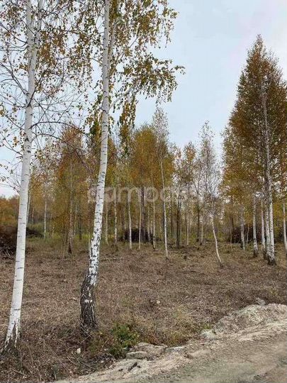 Участок 14,4 сот. (ИЖС)