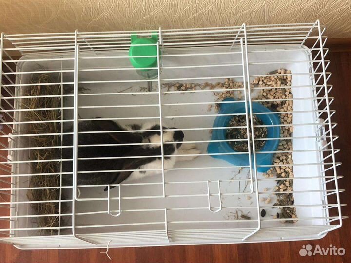 Клетка для грызунов большая