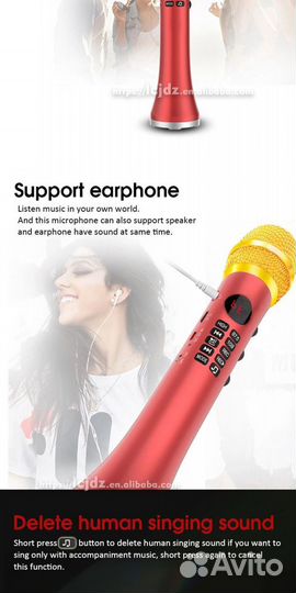 Профессиональный караоке-микрофон L-699DSP 20W