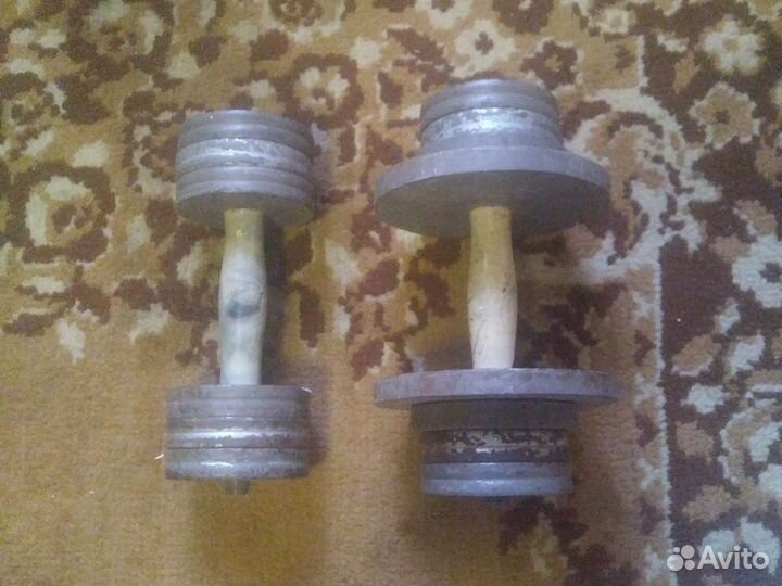 Гантели разборные