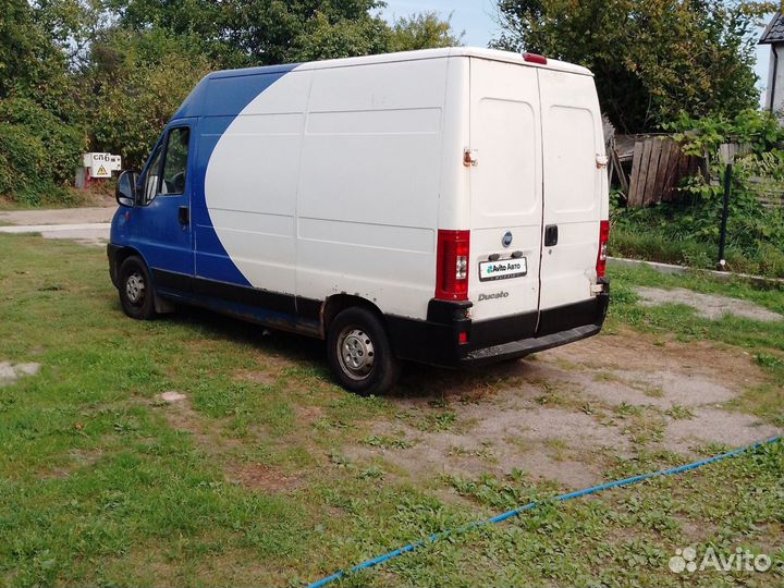 FIAT Ducato микроавтобус, 2005