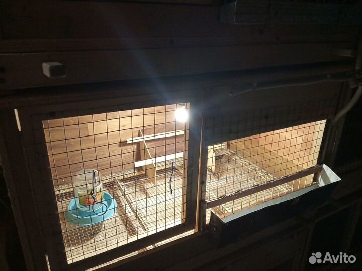 Цыплятам клетка - брудер