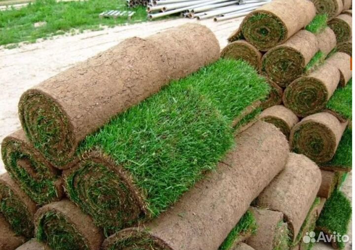 Рулонный газон (зеленый)