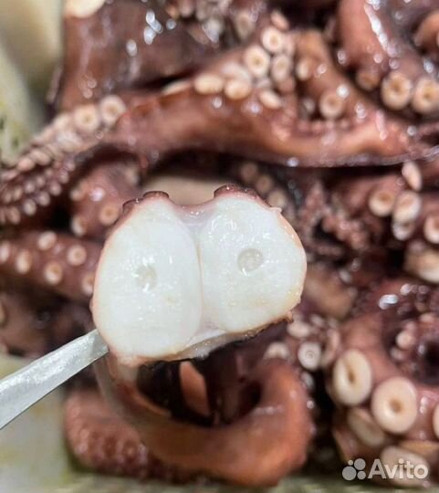 Икра, краб, креветка, рыба, морепродукты оптом