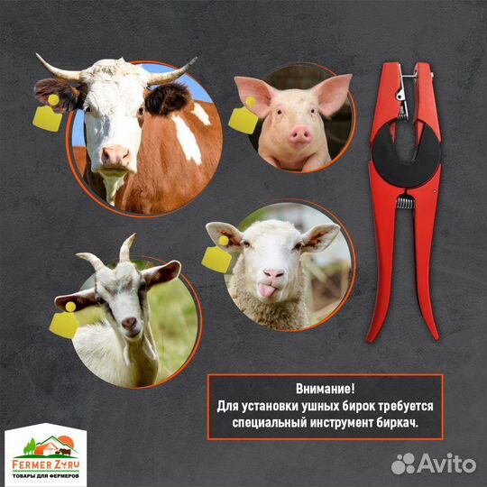 Бирка ушная 50*40 мм