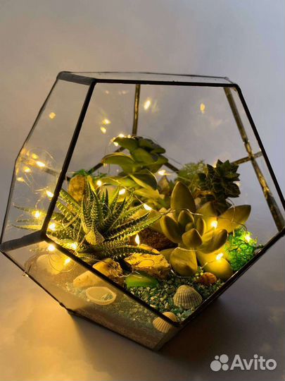 Флорариумы