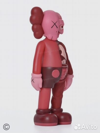 Kaws Bearbrick Anatomy