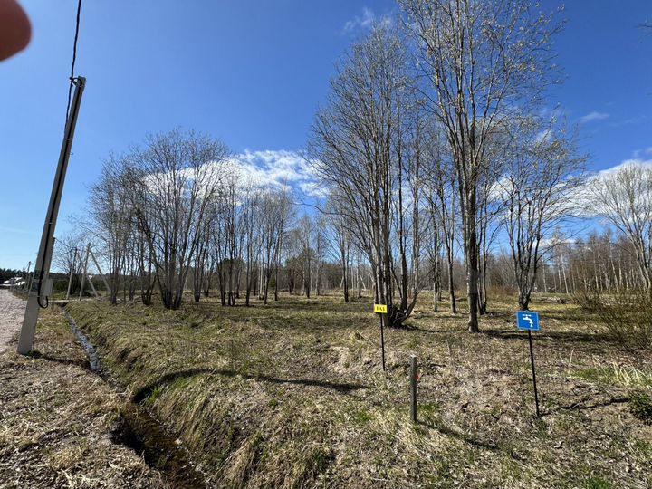 Участок 11,6 сот. (СНТ, ДНП)