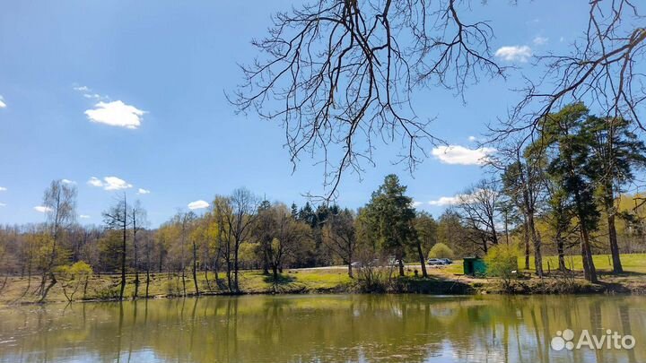 Конные прогулки/аренда лошади для фотосессии