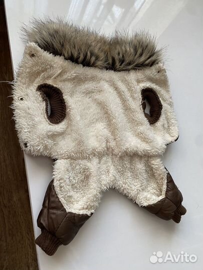 Одежда для собак