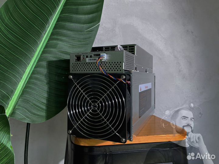 Whatsminer m30s первый скотч