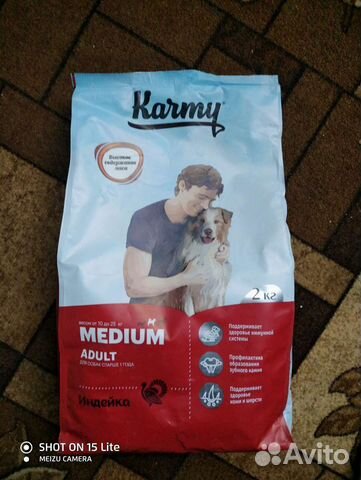 Корм для собак старше года