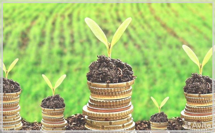 Инвестиции в сельское хозяйство, пассивный доход