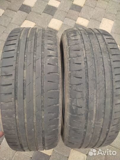 Nokian Tyres Nordman SZ 205/55 R16