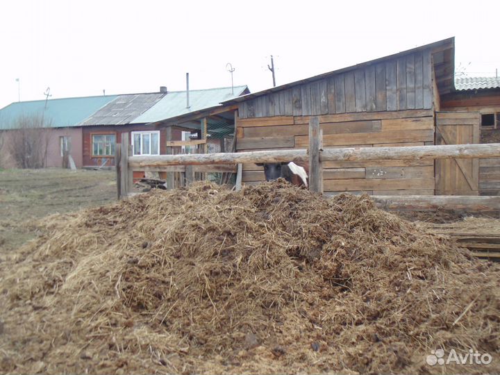Продам навоз
