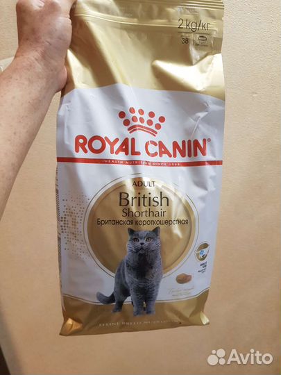 Корм для кошек Royal Canin British Shorthair 2кг