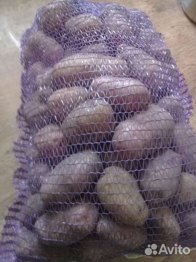 Продам Картофель