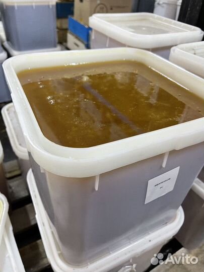 Эспарцетовый свежий натуральный мёд Оптом