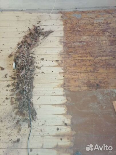 Циклёвка шлифовка пола под ключ