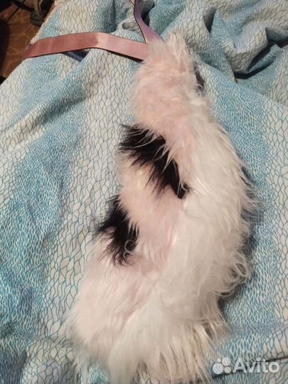 Маска раптора фурсьют