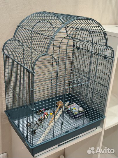 Клетка для попугая