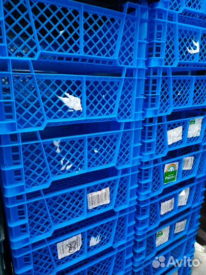 Грибные и другие пластиковые ящики