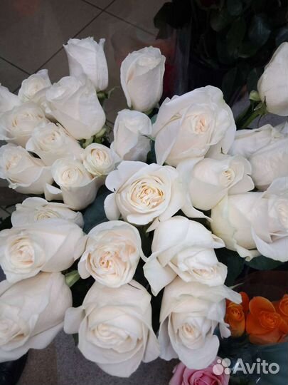 Хризантемы