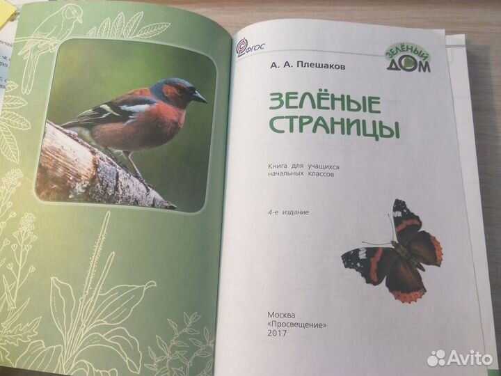 Зеленые страницы