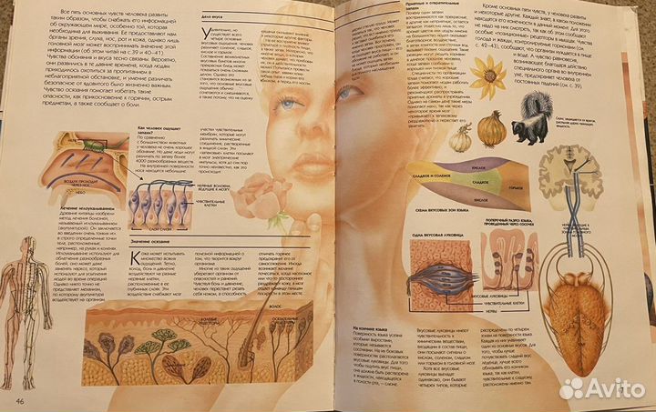 Словари, энциклопедии, атласы