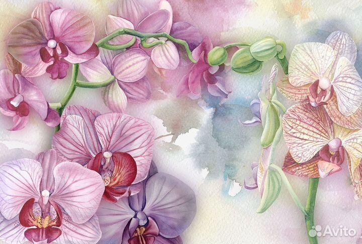 Бесшовные фотообои премиум-класса