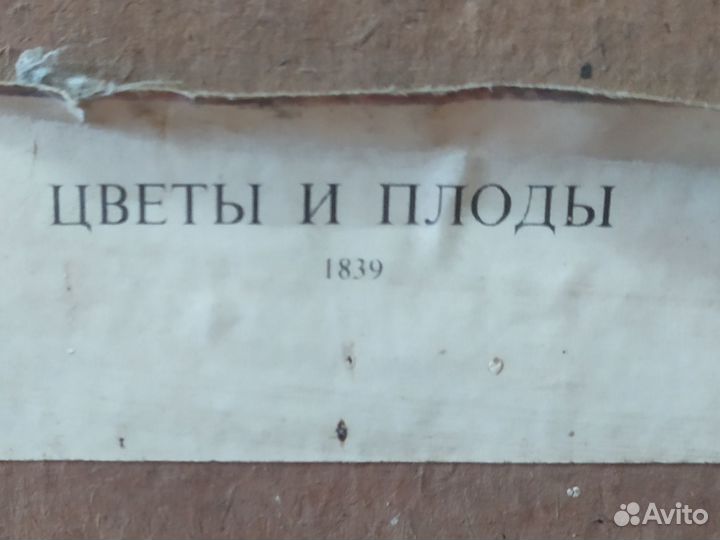 Картина Цветы и плоды СССР