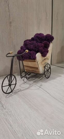 Кашпо со стабилизированным мхом, сирень