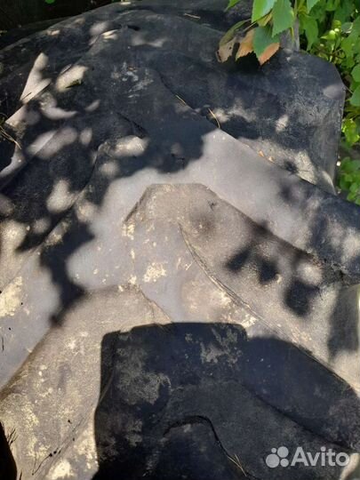 Белшина Бел-100 21.5/25 R4 20B