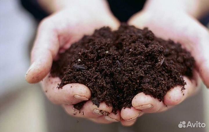 Грунт растительный
