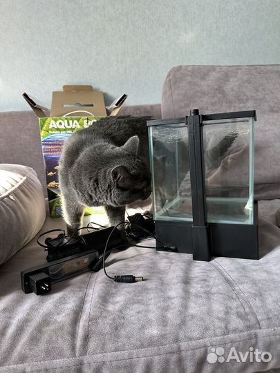 Аквариум для рыбок маленький