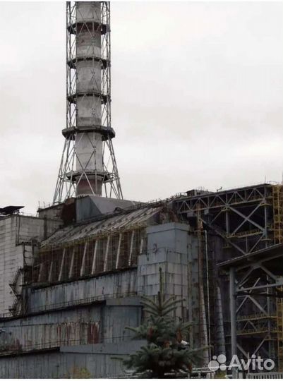 Правда о Чернобыле. Свидетельства живых и мертвых