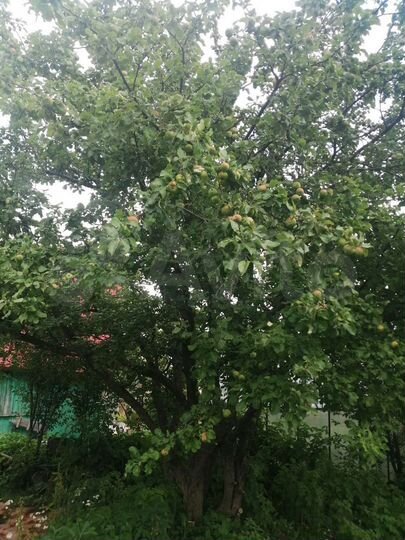 Дача 20 м² на участке 3,8 сот.