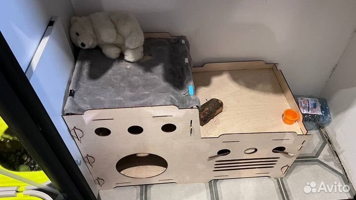 Декоративные кролики. Ищу заботливые руки