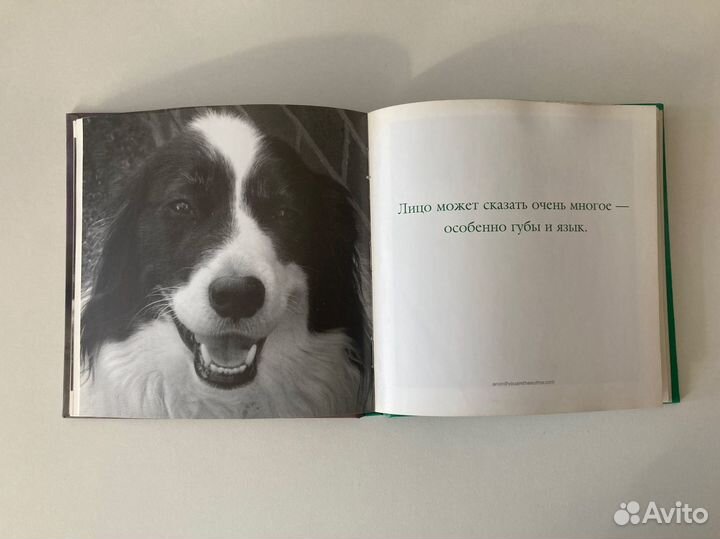 Книга Эх жизнь собачья