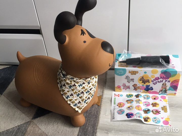 Прыгун пёс Джек