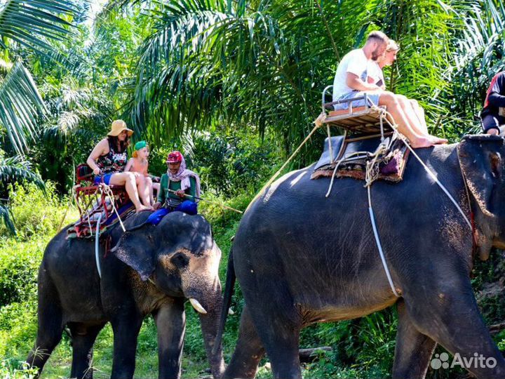 Экскурсия — Пхукет — Поездка на секретное озеро Че