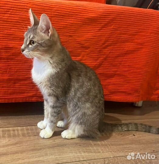 Грэйс очень нужна семья