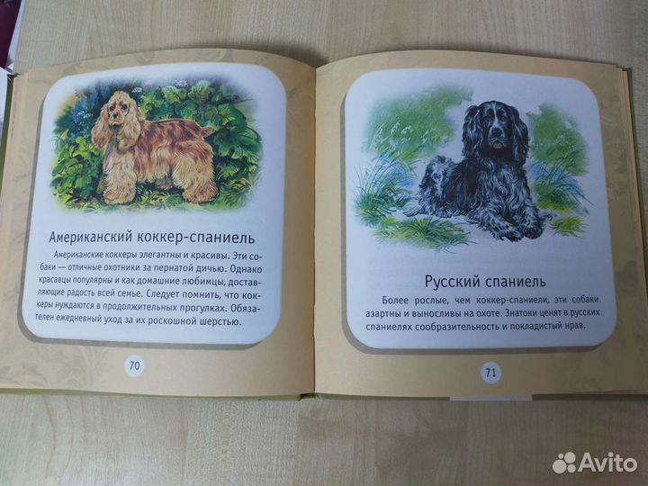 Кинга про кошек и собак