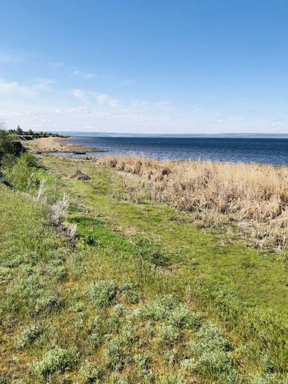 Участок 1,8 га (СНТ, ДНП)