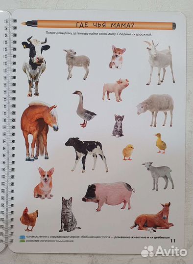 Логика и познание