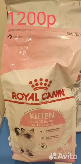 Royal canin для котят