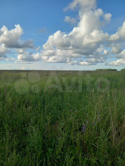 Участок 2,24 га (СНТ, ДНП)