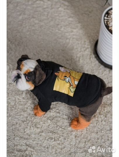 Одежда для собак и кошек
